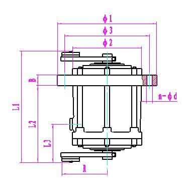 T05立式振動(dòng)電機(jī)安裝尺寸圖